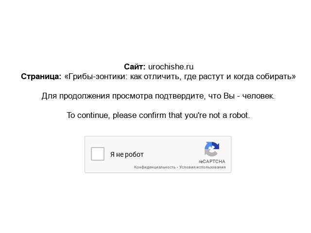 форма