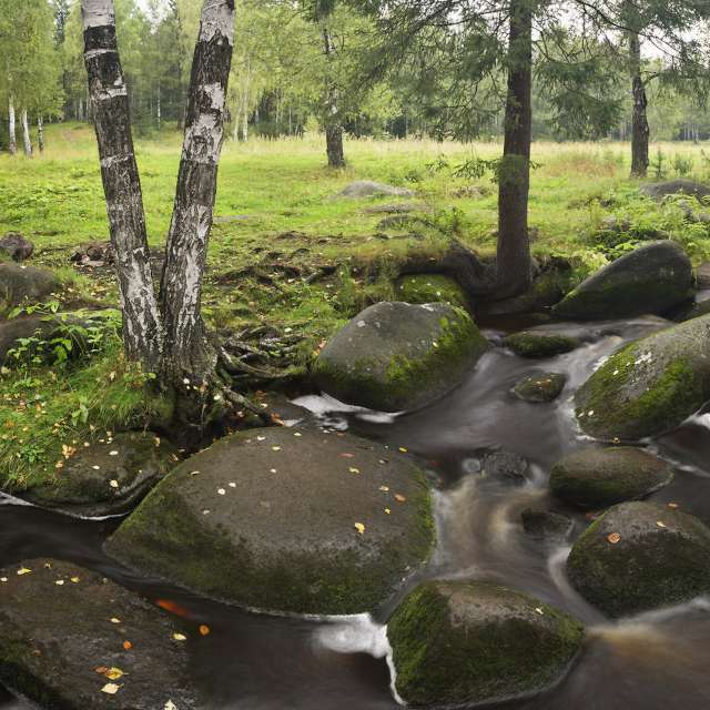 река Северка